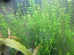 IMG 0456 ()
