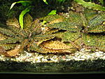 IMG 3945[1]