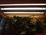DSC00012