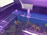 IMG 1167