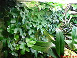 DSC00397