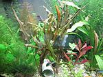 IMG 0452 ()