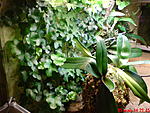 DSC00404