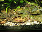 IMG 3946[1]