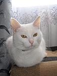 SAM 0586
