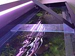 IMG 1166
