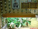 DSC00019