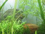 IMG 0402 ()