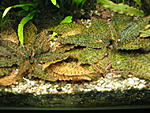 IMG 3944[1]
