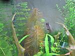 IMG 0455 ()