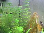 IMG 0454 ()