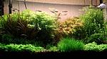 P 20140418 185117