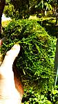 IMG 20140525 142421