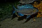 DSC 1469