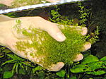 IMG 0022