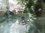 IMG 0442 ()
