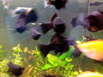 IMG 20140322 161416