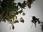 2014518141908