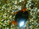 IMG 20140323 094054 (1)