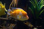 20140601 IMG 4610