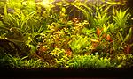 IMAG0951