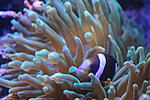 IMG 4981