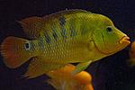 20140601 IMG 4622
