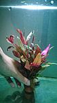 WP 20140526 010