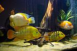 20140601 IMG 4667
