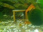 IMG 20140323 093852