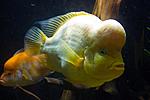 20140601 IMG 4628