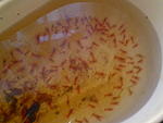 IMG 20140323 093132