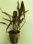 20140530 144650