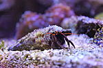 IMG 4801