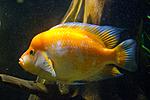 20140601 IMG 4627