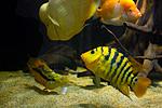 20140601 IMG 4653