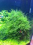 IMG 5298
