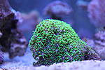 IMG 5059