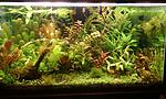IMAG0402