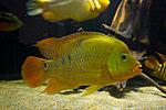 20140601 IMG 4661