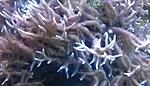 IMAG1147