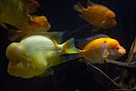 20140601 IMG 4619