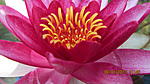 IMG 4573