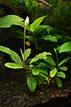 DSC 0167