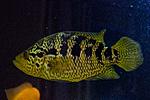 20140601 IMG 4657