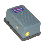 SB 2800
