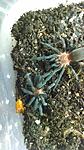 IMG 20140611 195436258[1]
