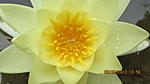 IMG 4628