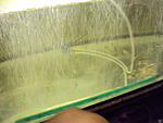 DSC07760