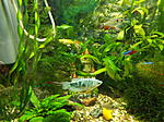 DSCF1675